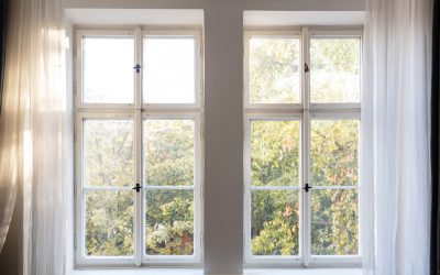 Do You Need New Windows?